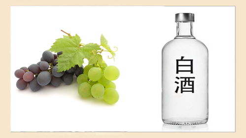 酒桌上“千杯不倒”的秘密，快來(lái)看看你知道幾個(gè)